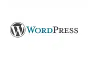 Canais-e-Tecnologias-wordpress.webp